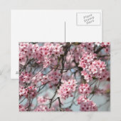 Cherry Blossom Tree Briefkaart (Voorkant / Achterkant)