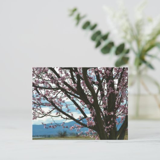 Cherry Blossom Tree Briefkaart (Staand voorkant)