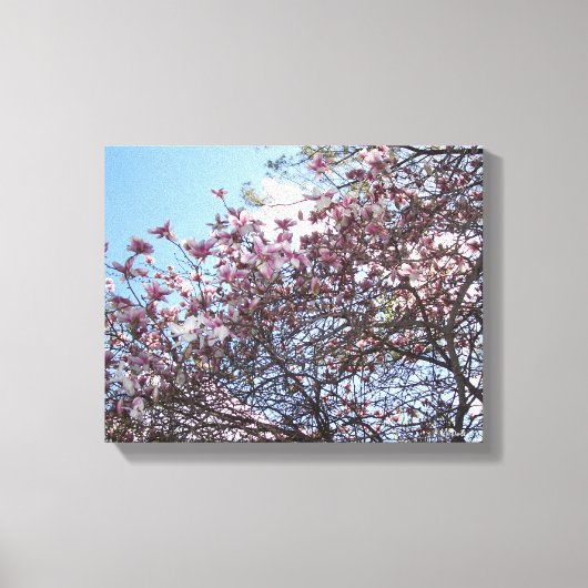 Cherry Blossom Tree Canvas Afdruk (Voorkant)