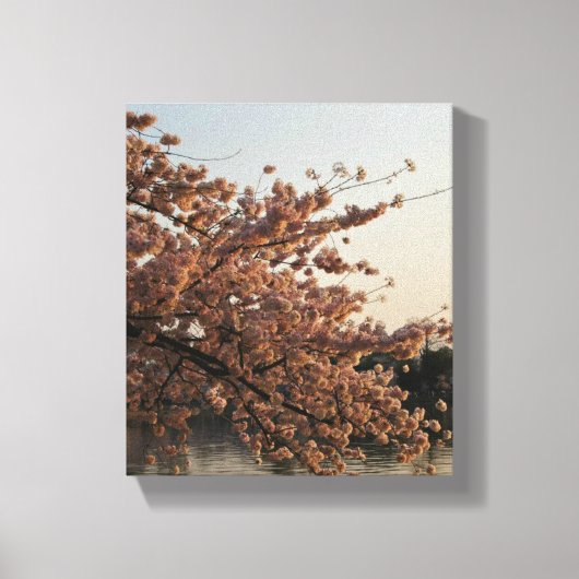 Cherry Blossom Tree Canvas Afdruk (Voorkant)