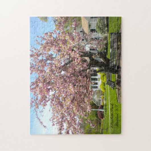 Cherry Blossom Tree, Elizabeth Park, Hartford CT Legpuzzel (Verticaal)