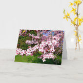 Cherry Blossom Tree in de Park Kaart (Gele Bloem)