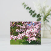 Cherry Blossom Tree in het Park Briefkaart (Staand voorkant)
