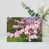 Cherry Blossom Tree in Park Kaart (Staand voorkant)