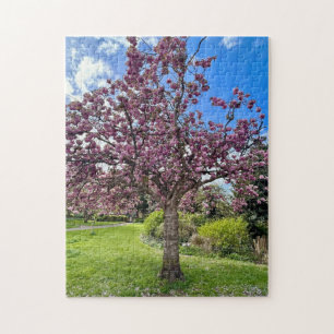 Cherry Blossom Tree Park in Brighton Lente tijd Legpuzzel