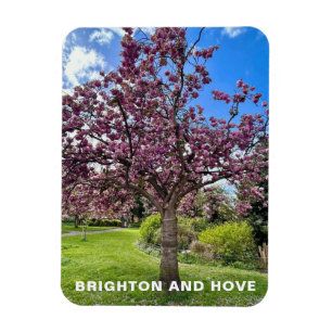 Cherry Blossom Tree Park in Brighton Lente tijd Magneet