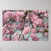 Cherry Blossom Tree Poster (Voorkant)