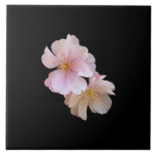 Cherry Blossom Trivet Tegeltje