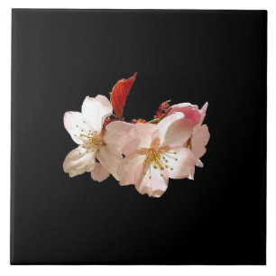 Cherry Blossom Trivet Tegeltje