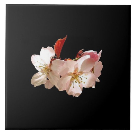 Cherry Blossom Trivet Tegeltje (Voorkant)