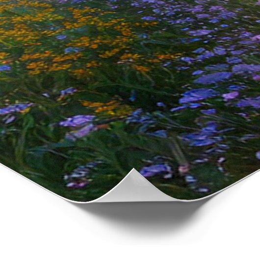 Cherry Blossom Valley Poster (Hoek)