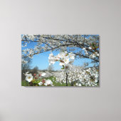 Cherry Blossom Valley Wrapped Canvas Print (Voorkant)
