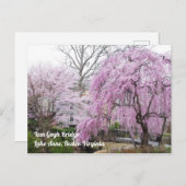 Cherry Blossom Van Gogh BrideLake Anne Reston Briefkaart (Voorkant / Achterkant)