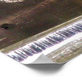 Cherry Blossom van Mill Stream Poster (Hoek)