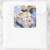 Cherry Blossom Vierkante Sticker (Tas)