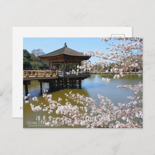 Cherry Blossom Viewing (Ukimi-do Pavilion) Briefkaart (Voorkant / Achterkant)