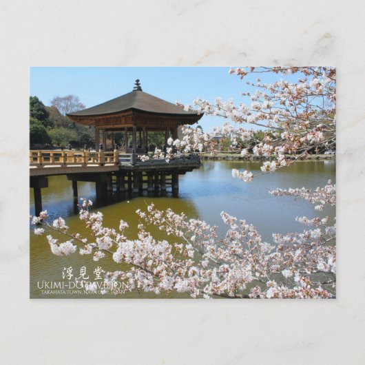 Cherry Blossom Viewing (Ukimi-do Pavilion) Briefkaart (Voorkant)