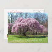 Cherry Blossom Village 03 Briefkaart (Voorkant / Achterkant)