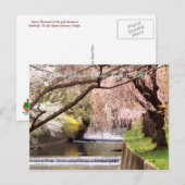 Cherry Blossom Village 04 Briefkaart (Voorkant / Achterkant)