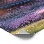 Cherry Blossom Village Poster (Hoek)