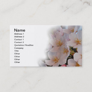 Cherry Blossom Visitekaartje