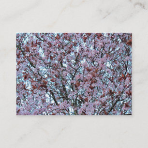 Cherry Blossom Visitekaartje