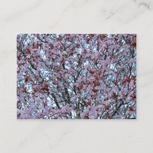 Cherry Blossom Visitekaartje (Voorkant)