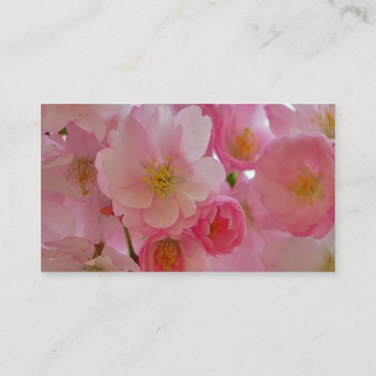 Cherry Blossom Visitekaartje (Achterkant)