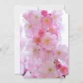 Cherry Blossom Vrijgezellenfeest Kaart (Achterkant)