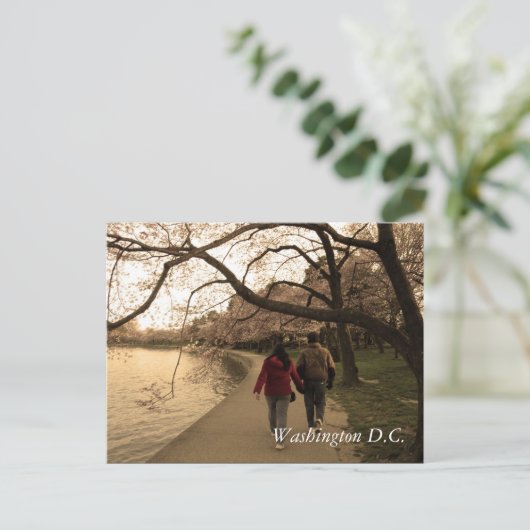 Cherry Blossom Walk Briefkaart (Staand voorkant)