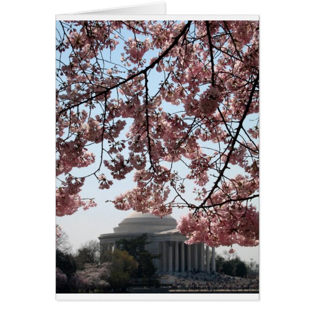 Cherry Blossom Washington DC (Voorkant)
