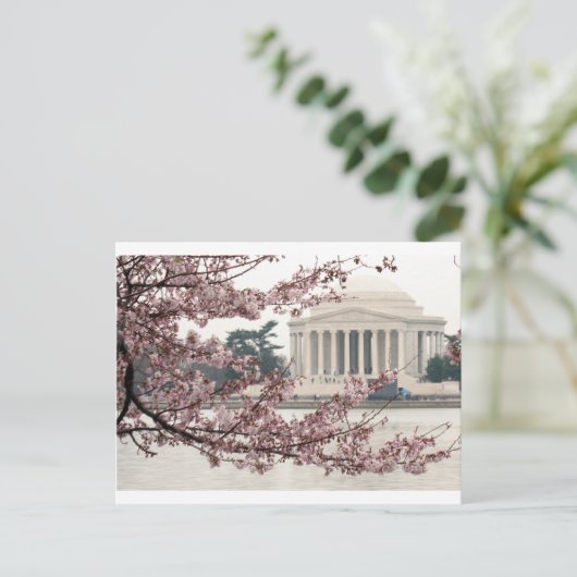 Cherry Blossom Washington DC Briefkaart (Staand voorkant)