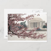 Cherry Blossom Washington DC Briefkaart (Voorkant / Achterkant)