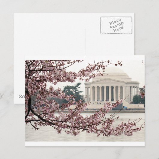 Cherry Blossom Washington DC Briefkaart (Voorkant / Achterkant)