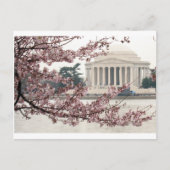 Cherry Blossom Washington DC Briefkaart (Voorkant)