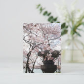 Cherry Blossom Washington DC Briefkaart (Staand voorkant)