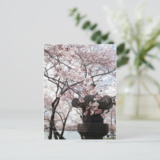 Cherry Blossom Washington DC Briefkaart (Staand voorkant)