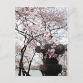 Cherry Blossom Washington DC Briefkaart (Voorkant)