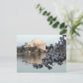 Cherry Blossom Washington DC Briefkaart (Staand voorkant)