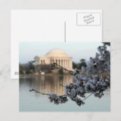 Cherry Blossom Washington DC Briefkaart (Voorkant / Achterkant)