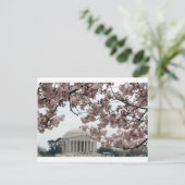 Cherry Blossom Washington DC Briefkaart (Staand voorkant)