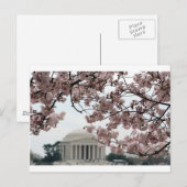 Cherry Blossom Washington DC Briefkaart (Voorkant / Achterkant)