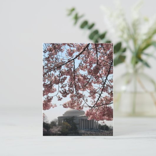 Cherry Blossom Washington DC Briefkaart (Staand voorkant)