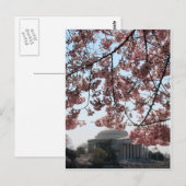 Cherry Blossom Washington DC Briefkaart (Voorkant / Achterkant)