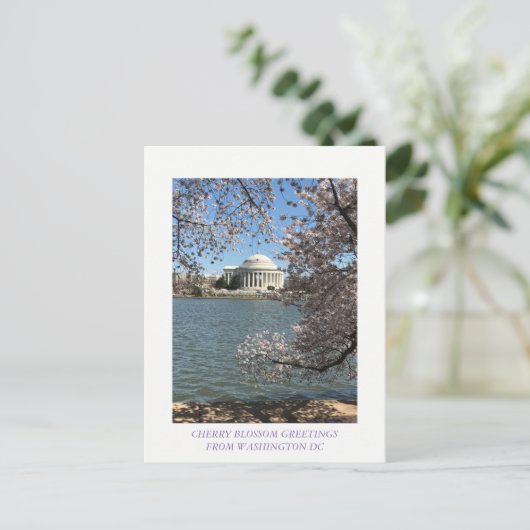 CHERRY BLOSSOM WASHINGTON DC BRIEFKAART (Staand voorkant)