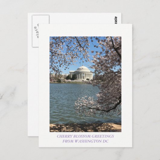 CHERRY BLOSSOM WASHINGTON DC BRIEFKAART (Voorkant / Achterkant)