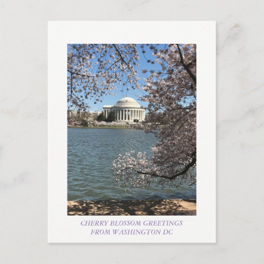 CHERRY BLOSSOM WASHINGTON DC BRIEFKAART (Voorkant)