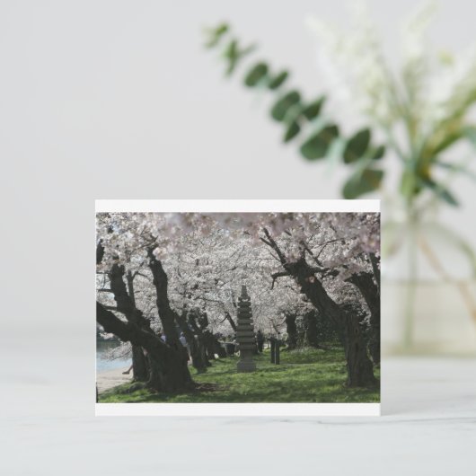 Cherry Blossom Washington DC Briefkaart (Staand voorkant)