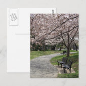 Cherry Blossom Washington DC Briefkaart (Voorkant / Achterkant)