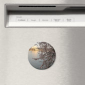 Cherry Blossom Washington DC Magneet (Insitu (Vaatwasser))